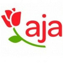 Logo aja Ruhpolding in Ruhpolding